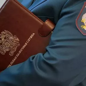 Registrace výsledků daňových auditů: typy, postup a požadavky
